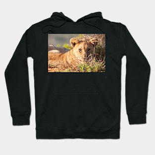 Cute little lion cub Hoodie